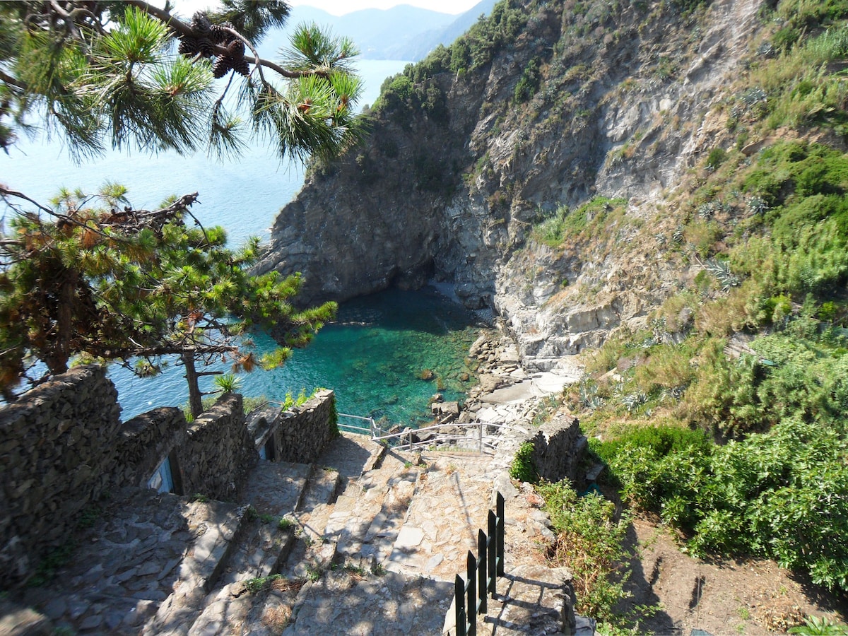 00b7c1c3-525e-4ca1-aacb-2d9669aff2fd