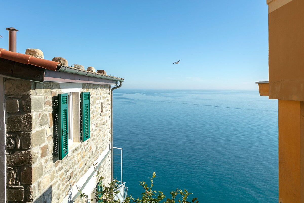 436a801d-c20f-4963-8f4e-c9c9888f26fd